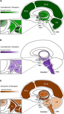 Medicinal Cannabis and Central Nervous System Disorders